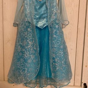 Authentic Disney parks Elsa dress